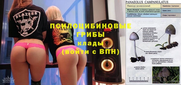 Альфа ПВП Володарск