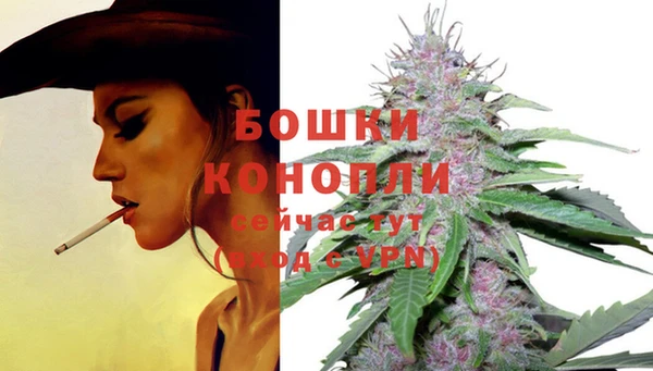 трава Волоколамск