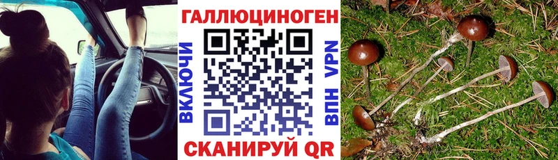 Псилоцибиновые грибы Magic Shrooms  продажа наркотиков  Емва 